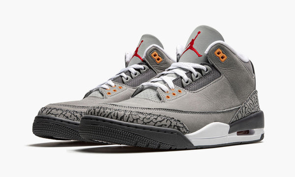 Air Jordan 3 "Cool Grey"