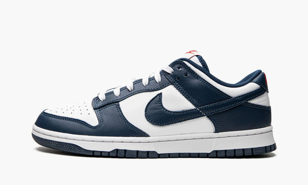 Nike Dunk Low "Valerian Blue"